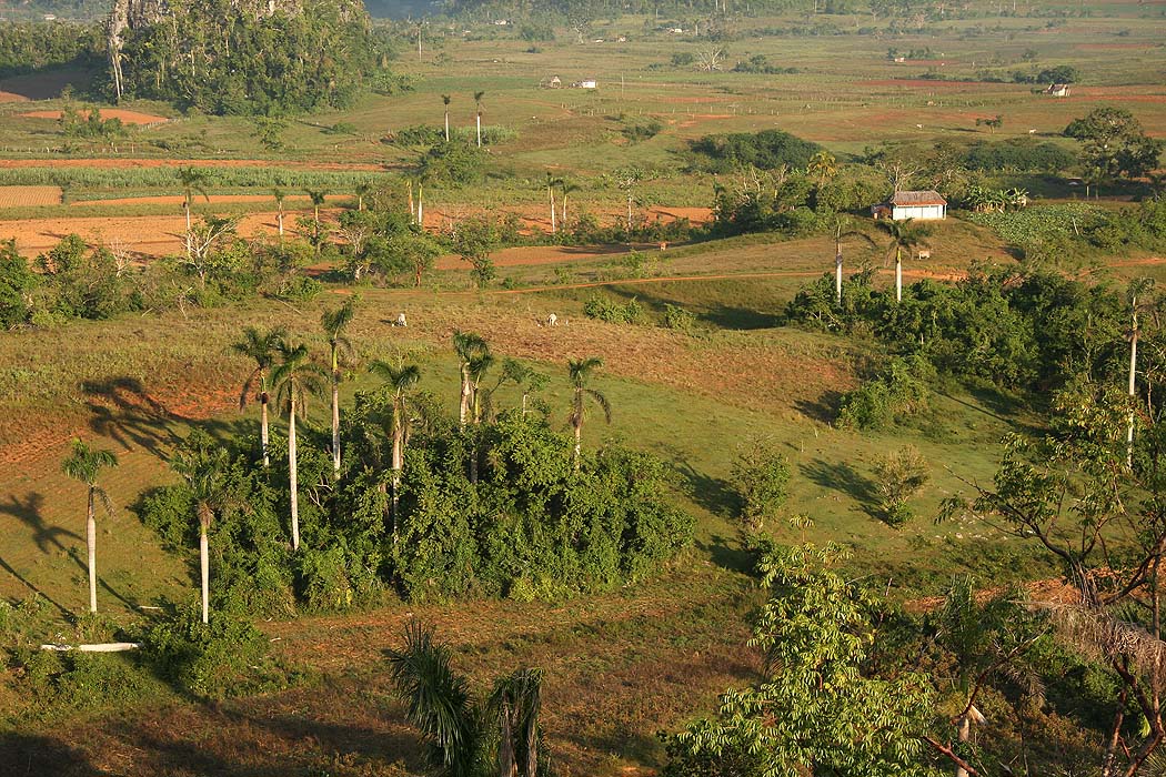 2008-11-28-08, vinales dalen - 4634-ek-foto.jpg